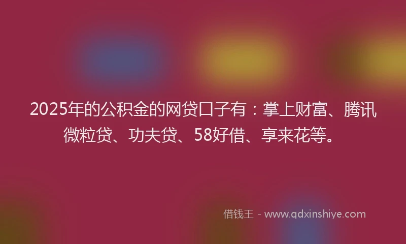 2025年的公积金的网贷口子有：掌上财富、腾讯微粒贷、功夫贷、58好借、享来花等。