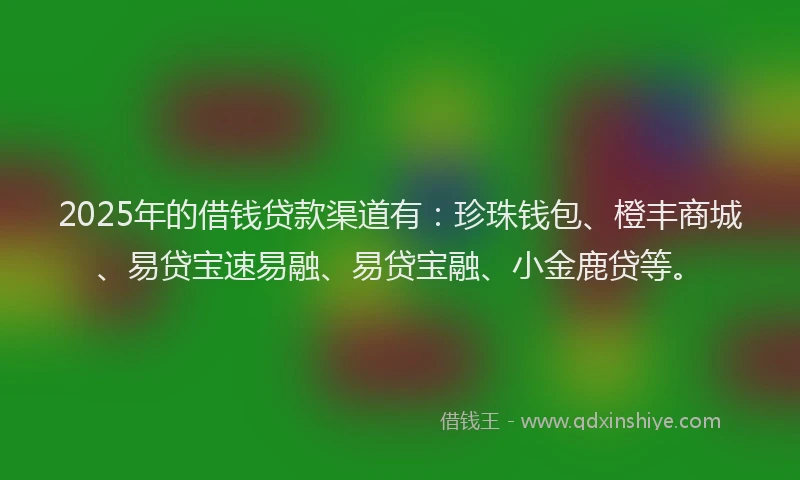 2025年的借钱贷款渠道有：珍珠钱包、橙丰商城、易贷宝速易融、易贷宝融、小金鹿贷等。