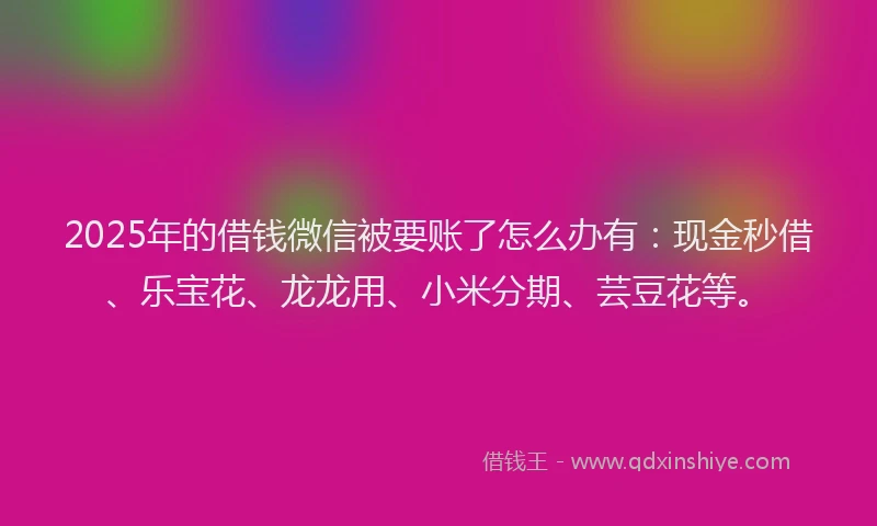 2025年的借钱微信被要账了怎么办有：现金秒借、乐宝花、龙龙用、小米分期、芸豆花等。