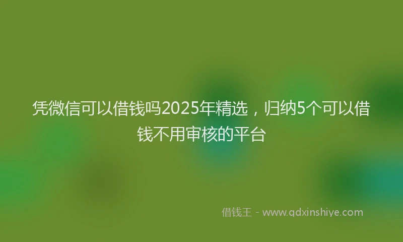凭微信可以借钱吗2025年精选，归纳5个可以借钱不用审核的平台