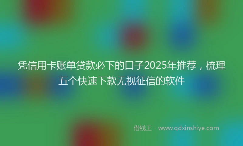 凭信用卡账单贷款必下的口子2025年推荐，梳理五个快速下款无视征信的软件