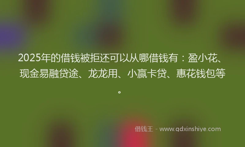 2025年的借钱被拒还可以从哪借钱有：盈小花、现金易融贷途、龙龙用、小赢卡贷、惠花钱包等。