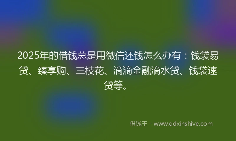 2025年的借钱总是用微信还钱怎么办有：钱袋易贷、臻享购、三枝花、滴滴金融滴水贷、钱袋速贷等。
