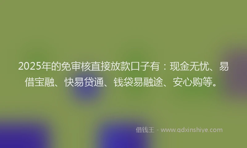 2025年的免审核直接放款口子有：现金无忧、易借宝融、快易贷通、钱袋易融途、安心购等。