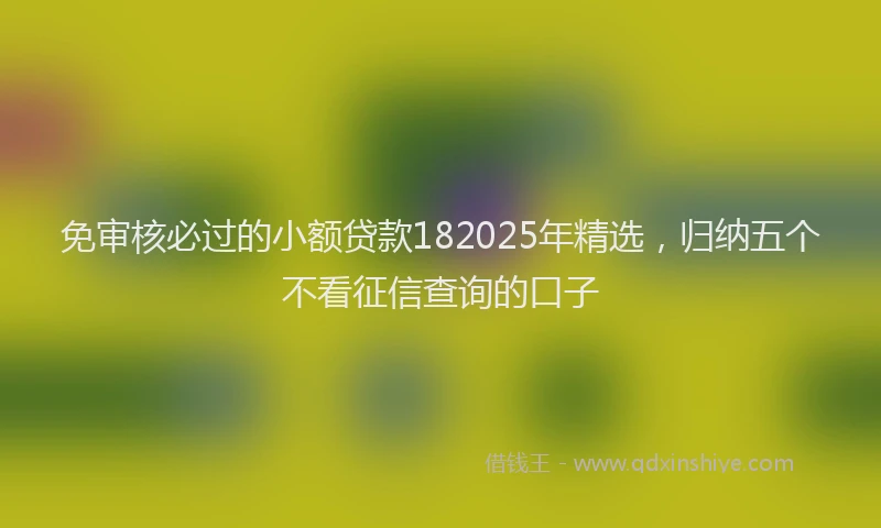 免审核必过的小额贷款182025年精选，归纳五个不看征信查询的口子