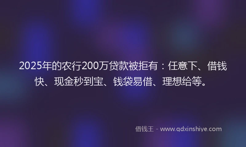 2025年的农行200万贷款被拒有：任意下、借钱快、现金秒到宝、钱袋易借、理想给等。