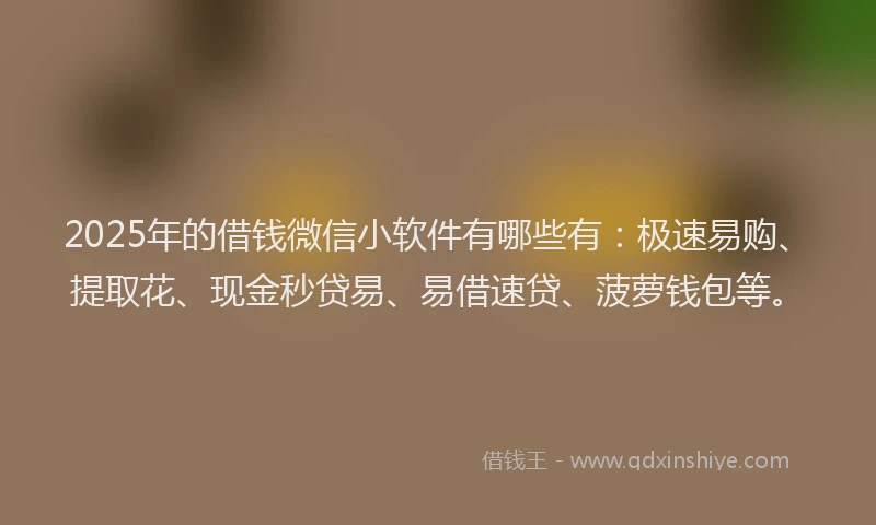 2025年的借钱微信小软件有哪些有：极速易购、提取花、现金秒贷易、易借速贷、菠萝钱包等。