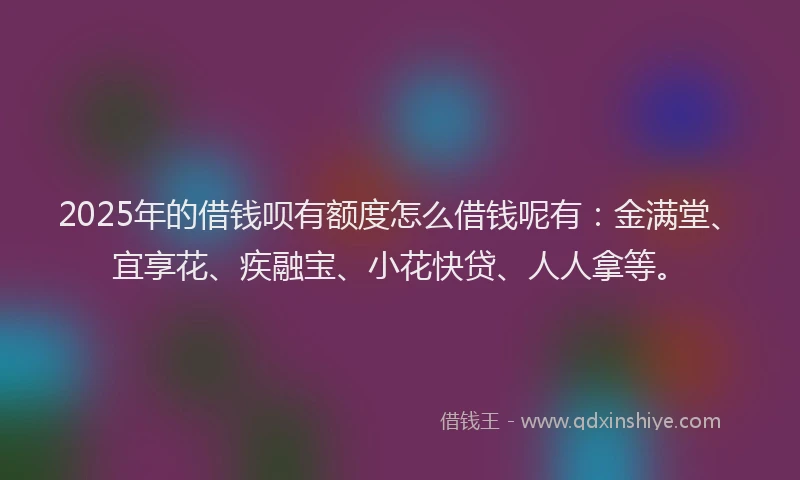 2025年的借钱呗有额度怎么借钱呢有：金满堂、宜享花、疾融宝、小花快贷、人人拿等。