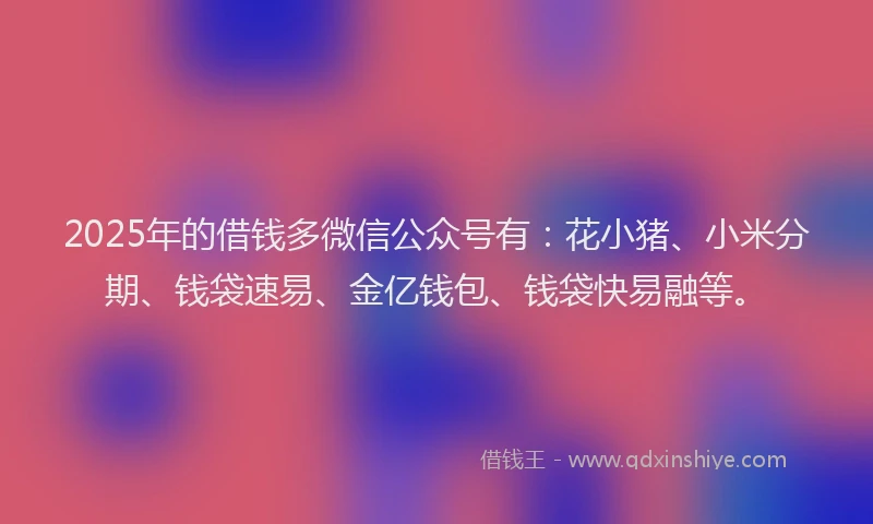 2025年的借钱多微信公众号有：花小猪、小米分期、钱袋速易、金亿钱包、钱袋快易融等。