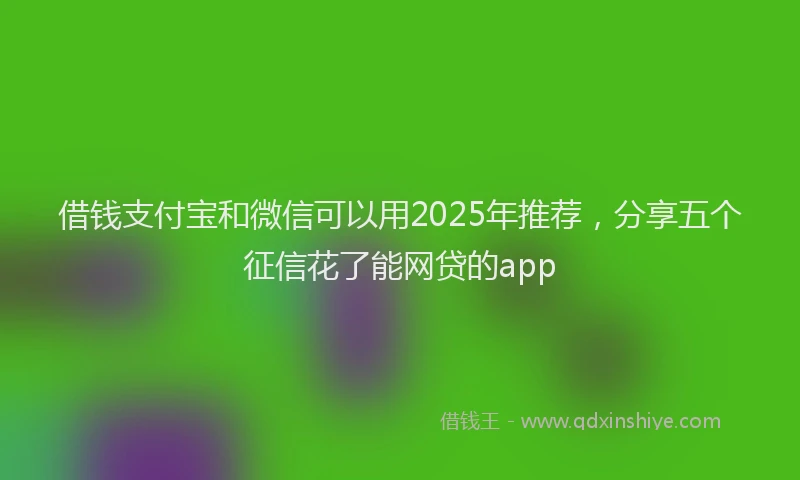 借钱支付宝和微信可以用2025年推荐，分享五个征信花了能网贷的app