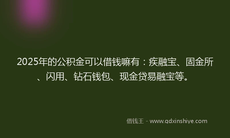 2025年的公积金可以借钱嘛有：疾融宝、固金所、闪用、钻石钱包、现金贷易融宝等。