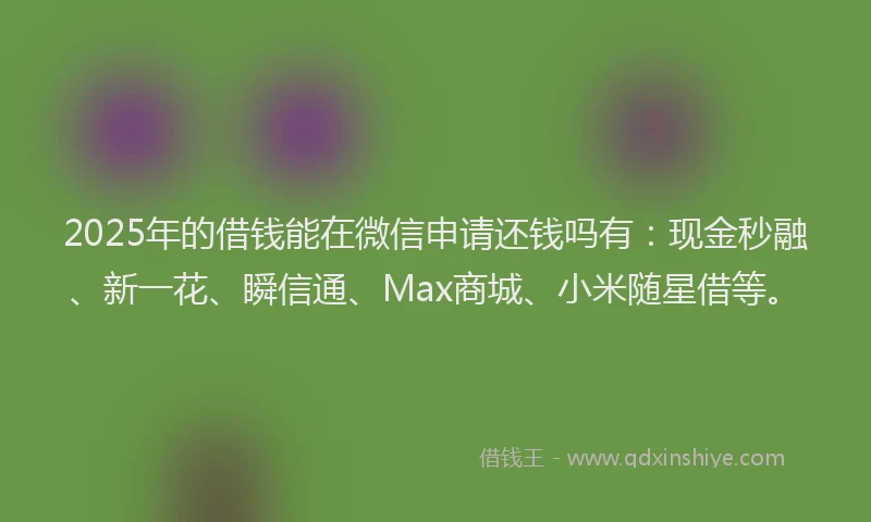 2025年的借钱能在微信申请还钱吗有：现金秒融、新一花、瞬信通、Max商城、小米随星借等。