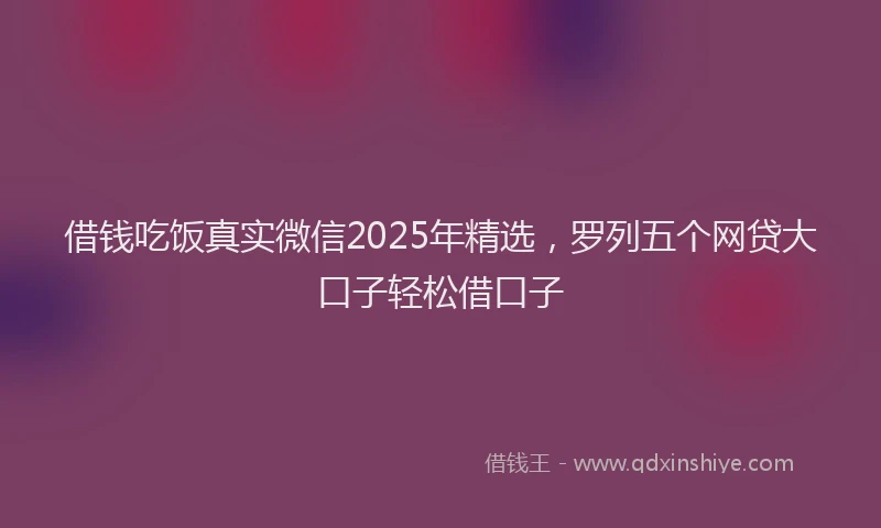 借钱吃饭真实微信2025年精选，罗列五个网贷大口子轻松借口子