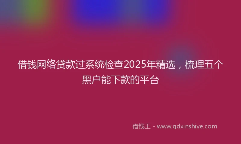 借钱网络贷款过系统检查2025年精选，梳理五个黑户能下款的平台