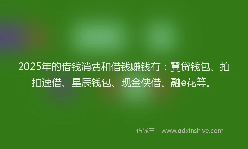 2025年的借钱消费和借钱赚钱有：翼贷钱包、拍拍速借、星辰钱包、现金侠借、融e花等。