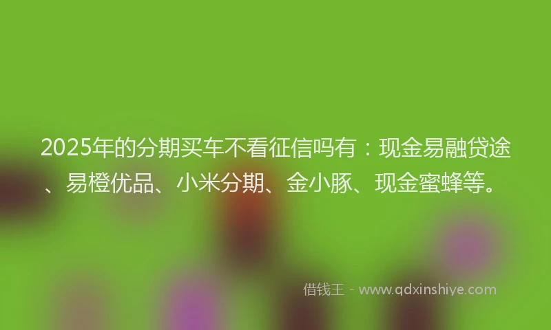 2025年的分期买车不看征信吗有：现金易融贷途、易橙优品、小米分期、金小豚、现金蜜蜂等。