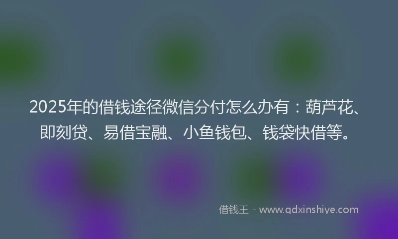 2025年的借钱途径微信分付怎么办有：葫芦花、即刻贷、易借宝融、小鱼钱包、钱袋快借等。