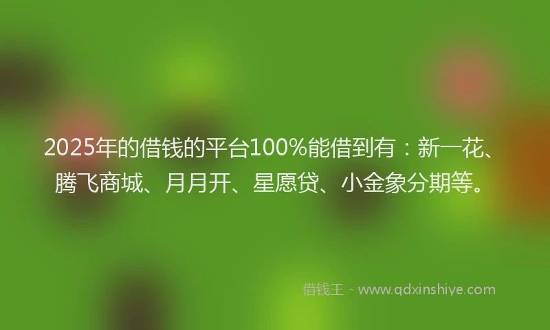 2025年的借钱的平台100%能借到有：新一花、腾飞商城、月月开、星愿贷、小金象分期等。