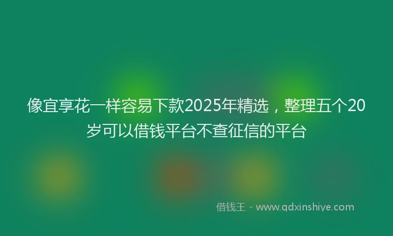 像宜享花一样容易下款2025年精选，整理五个20岁可以借钱平台不查征信的平台