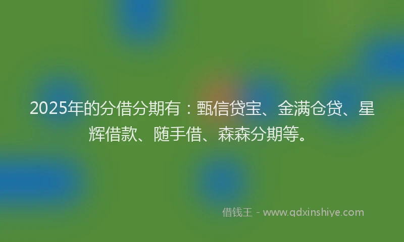 2025年的分借分期有：甄信贷宝、金满仓贷、星辉借款、随手借、森森分期等。