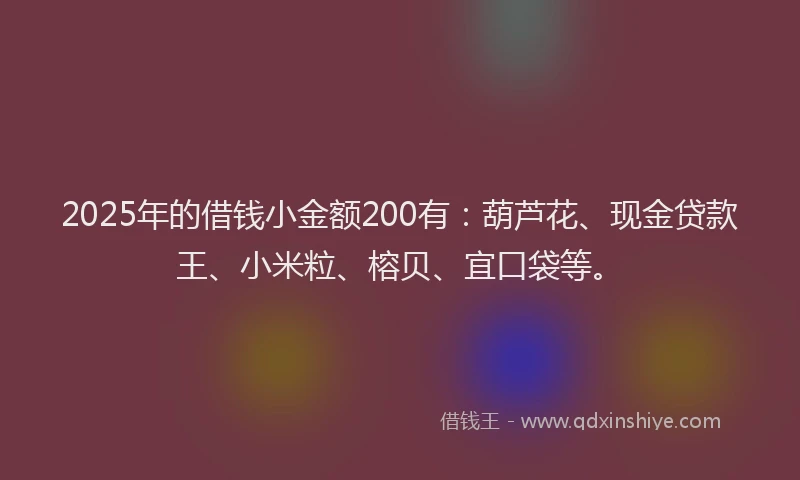 2025年的借钱小金额200有：葫芦花、现金贷款王、小米粒、榕贝、宜口袋等。