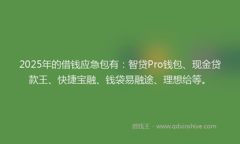 2025年的借钱应急包有：智贷Pro钱包、现金贷款王、快捷宝融、钱袋易融途、理想给等。