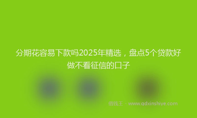 分期花容易下款吗2025年精选，盘点5个贷款好做不看征信的口子