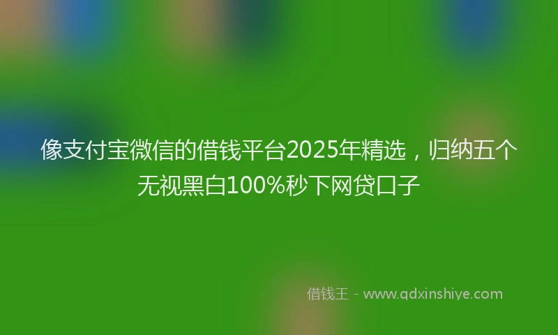 像支付宝微信的借钱平台2025年精选，归纳五个无视黑白100%秒下网贷口子