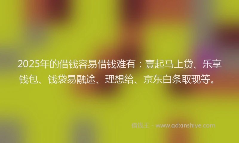 2025年的借钱容易借钱难有：壹起马上贷、乐享钱包、钱袋易融途、理想给、京东白条取现等。