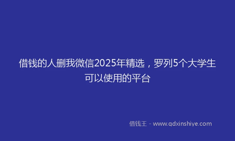 借钱的人删我微信2025年精选，罗列5个大学生可以使用的平台