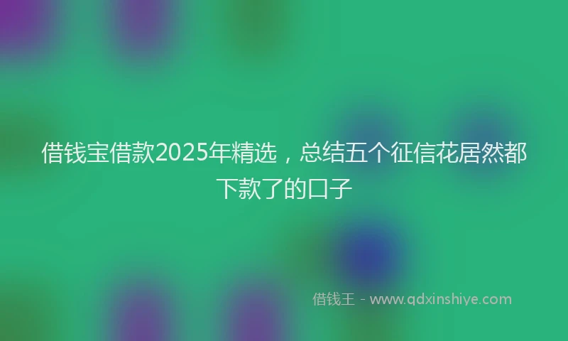 借钱宝借款2025年精选，总结五个征信花居然都下款了的口子