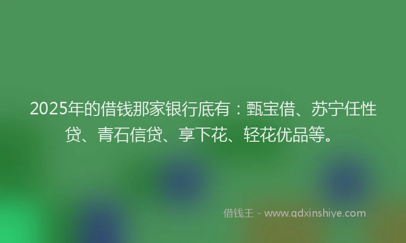 2025年的借钱那家银行底有：甄宝借、苏宁任性贷、青石信贷、享下花、轻花优品等。
