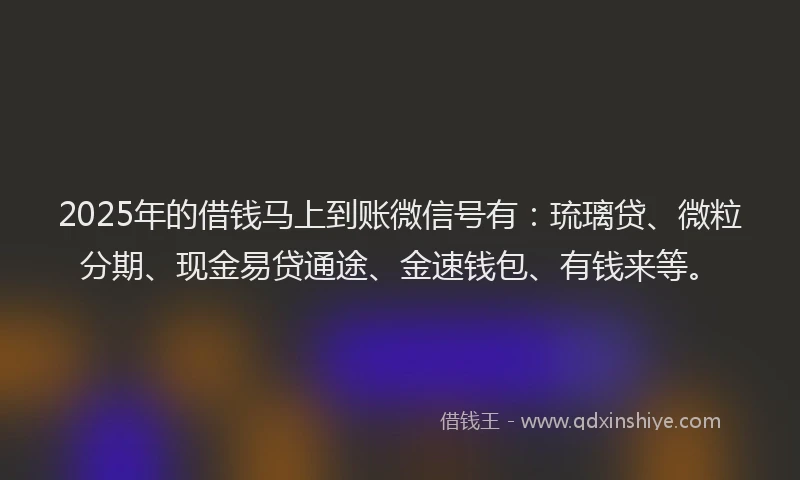 2025年的借钱马上到账微信号有：琉璃贷、微粒分期、现金易贷通途、金速钱包、有钱来等。
