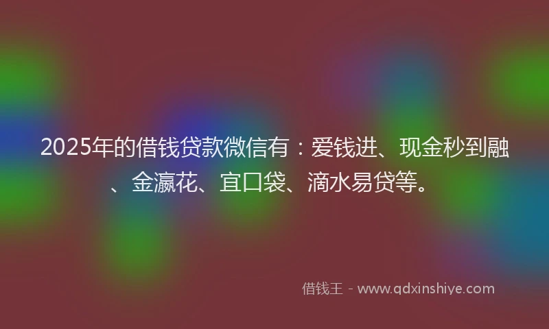 2025年的借钱贷款微信有：爱钱进、现金秒到融、金瀛花、宜口袋、滴水易贷等。