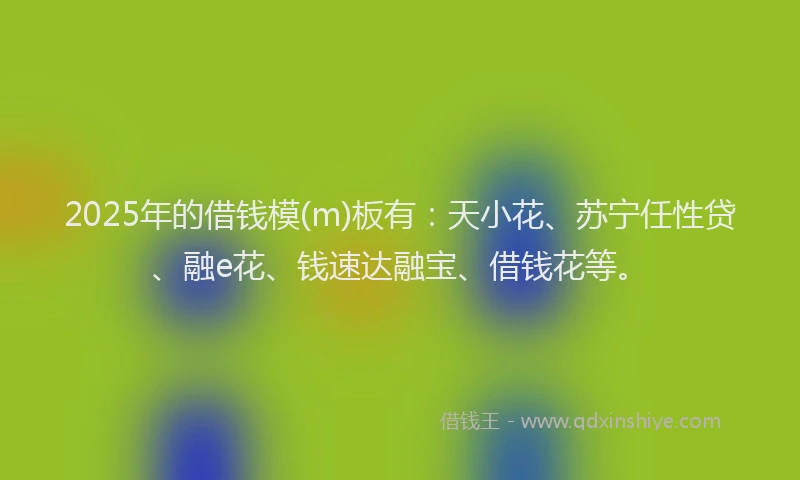 2025年的借钱模(m)板有：天小花、苏宁任性贷、融e花、钱速达融宝、借钱花等。
