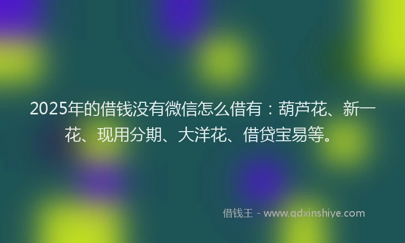 2025年的借钱没有微信怎么借有：葫芦花、新一花、现用分期、大洋花、借贷宝易等。