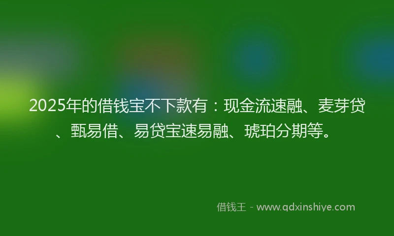 2025年的借钱宝不下款有：现金流速融、麦芽贷、甄易借、易贷宝速易融、琥珀分期等。