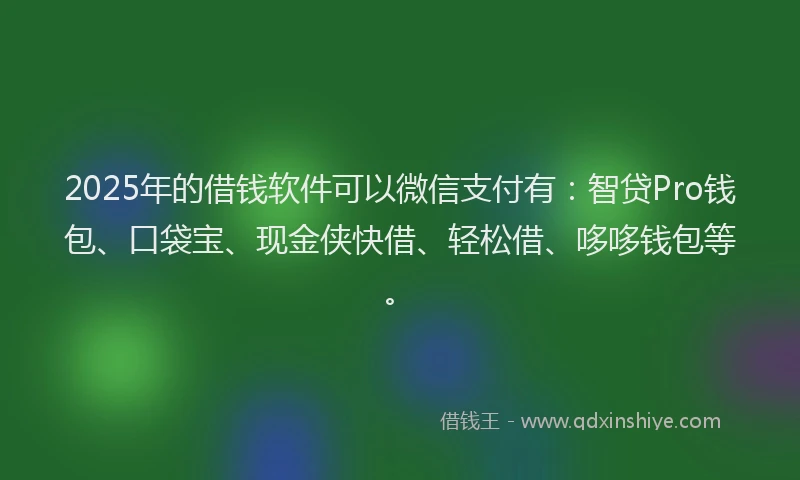 2025年的借钱软件可以微信支付有：智贷Pro钱包、口袋宝、现金侠快借、轻松借、哆哆钱包等。