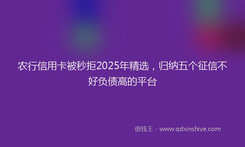 农行信用卡被秒拒2025年精选，归纳五个征信不好负债高的平台