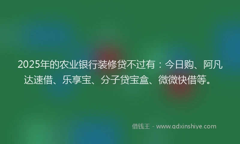 2025年的农业银行装修贷不过有：今日购、阿凡达速借、乐享宝、分子贷宝盒、微微快借等。