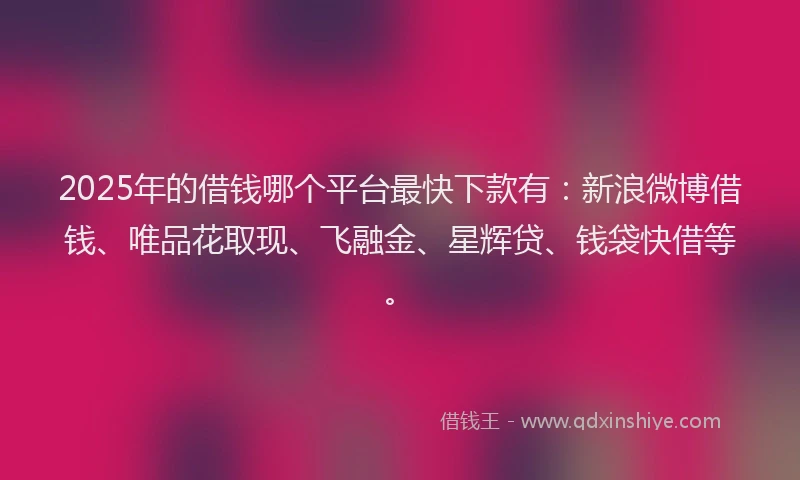 2025年的借钱哪个平台最快下款有：新浪微博借钱、唯品花取现、飞融金、星辉贷、钱袋快借等。