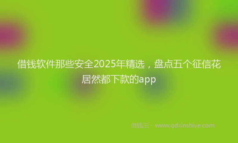 借钱软件那些安全2025年精选，盘点五个征信花居然都下款的app