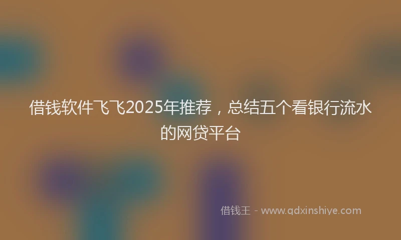 借钱软件飞飞2025年推荐，总结五个看银行流水的网贷平台