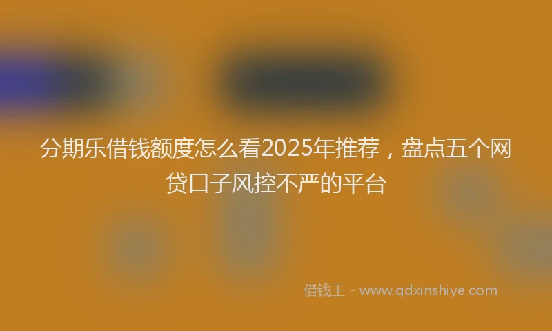 分期乐借钱额度怎么看2025年推荐，盘点五个网贷口子风控不严的平台