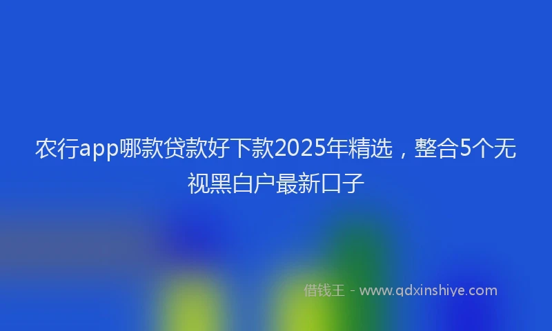 农行app哪款贷款好下款2025年精选，整合5个无视黑白户最新口子