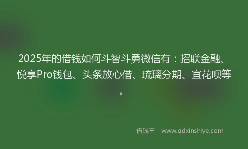 2025年的借钱如何斗智斗勇微信有：招联金融、悦享Pro钱包、头条放心借、琉璃分期、宜花呗等。