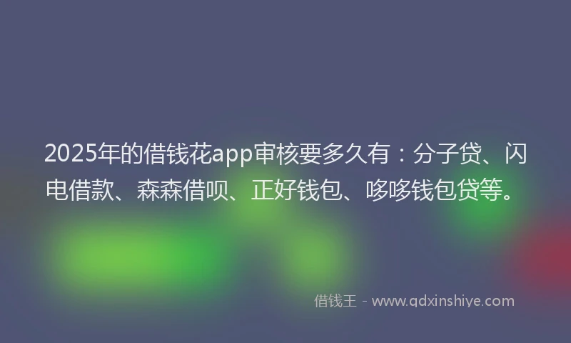 2025年的借钱花app审核要多久有：分子贷、闪电借款、森森借呗、正好钱包、哆哆钱包贷等。
