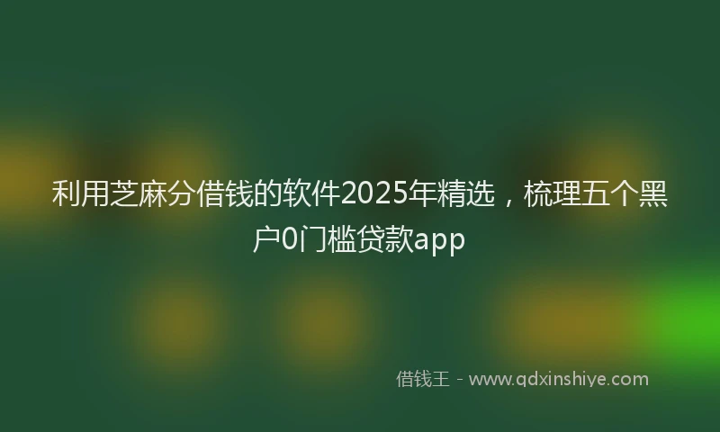 利用芝麻分借钱的软件2025年精选，梳理五个黑户0门槛贷款app