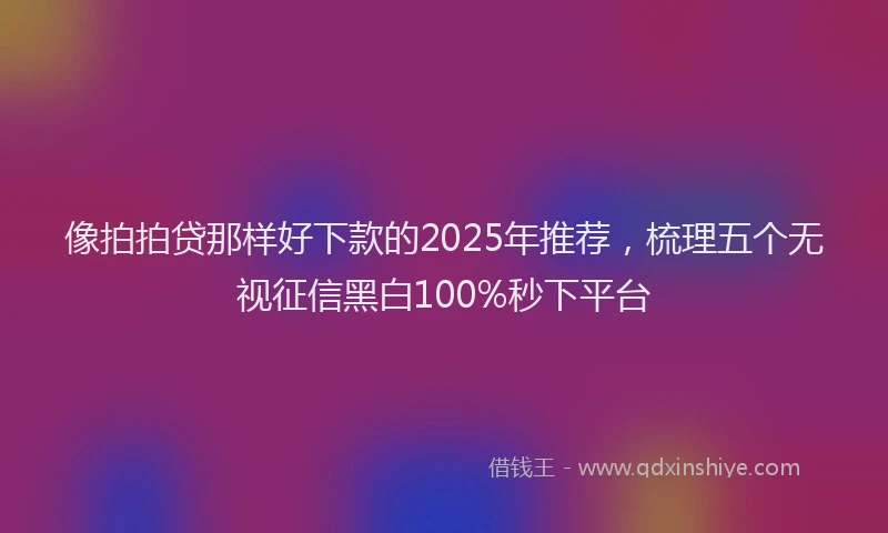 像拍拍贷那样好下款的2025年推荐，梳理五个无视征信黑白100%秒下平台
