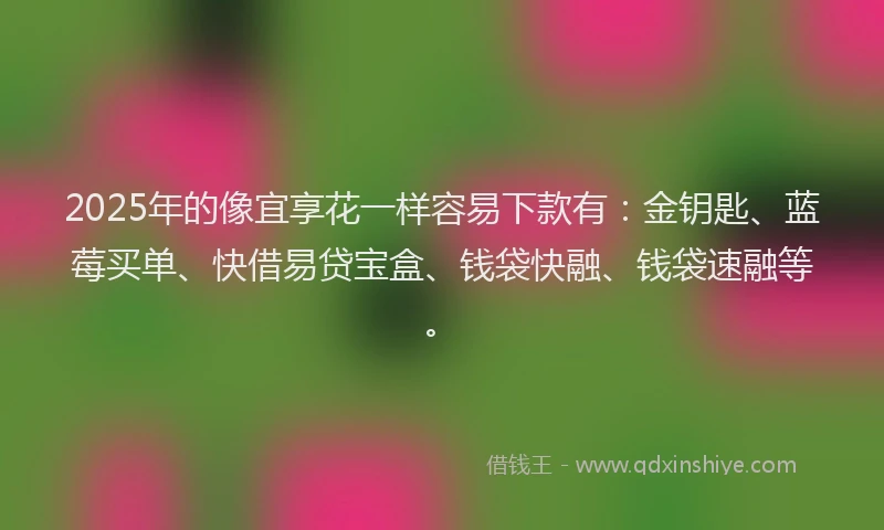 2025年的像宜享花一样容易下款有：金钥匙、蓝莓买单、快借易贷宝盒、钱袋快融、钱袋速融等。